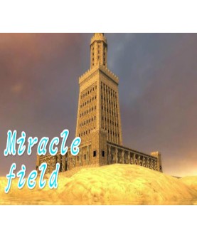 Miracle field Steam Key GLOBAL